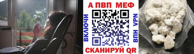 Где купить Шенкурск Гашиш  Метамфетамин  Мефедрон  Псилоцибиновые грибы  Каннабис  COCAIN 