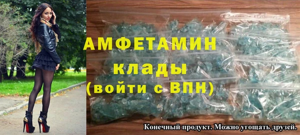 стаф Алзамай