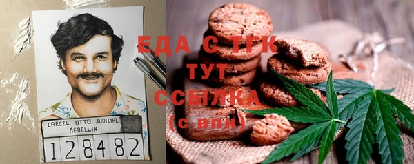 стаф Алзамай